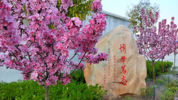 春天校园风景